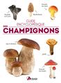 Guide encyclopedique des champignons